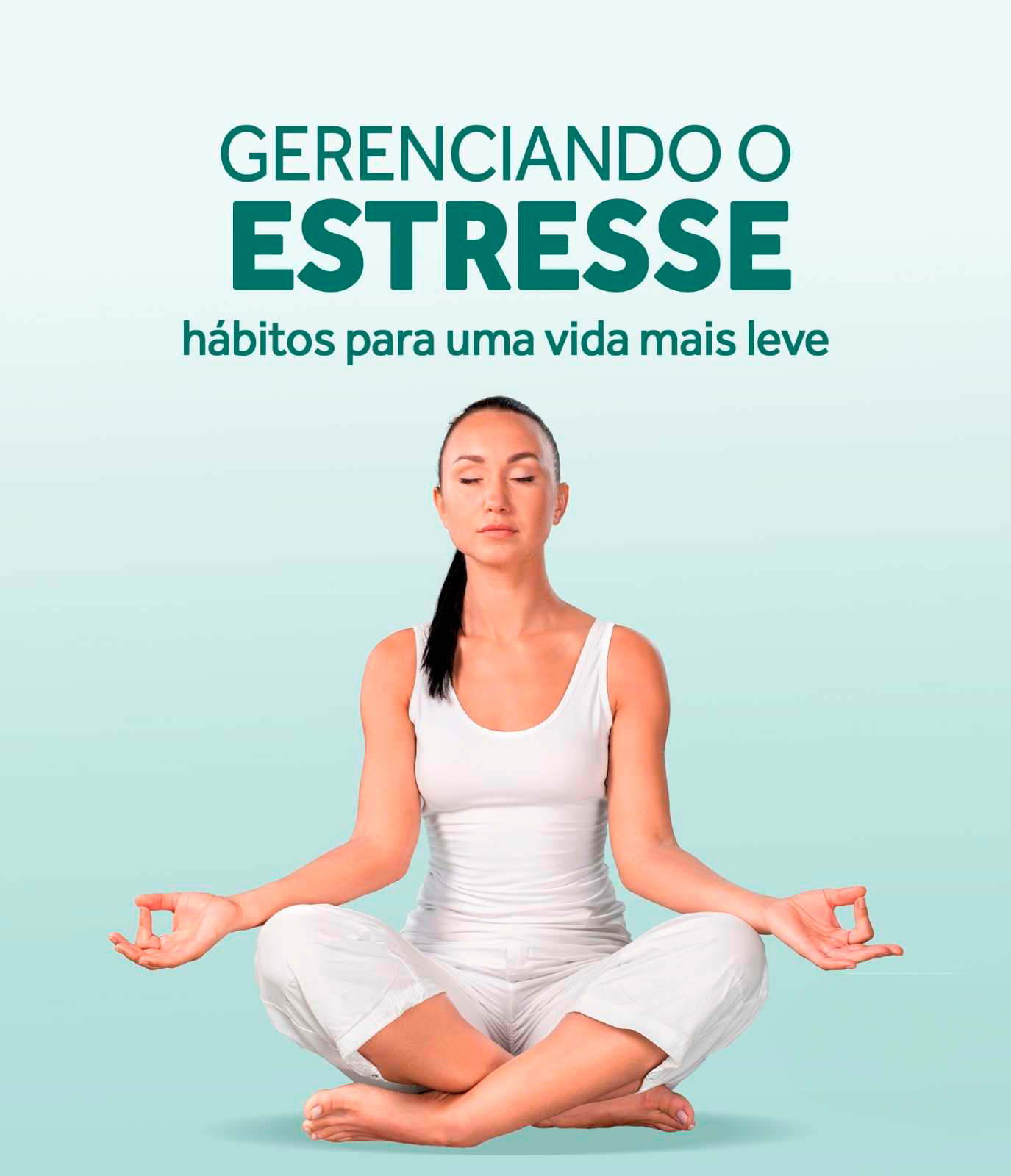 Gerenciando-Estresse